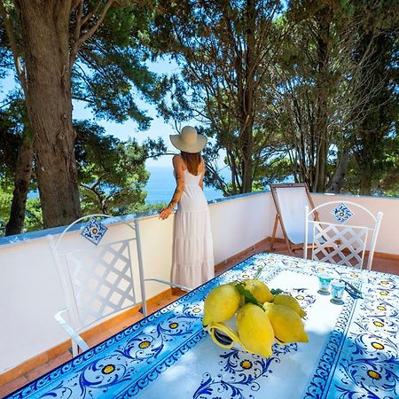 Casa Schiattarella Capri Otel Dış mekan fotoğraf