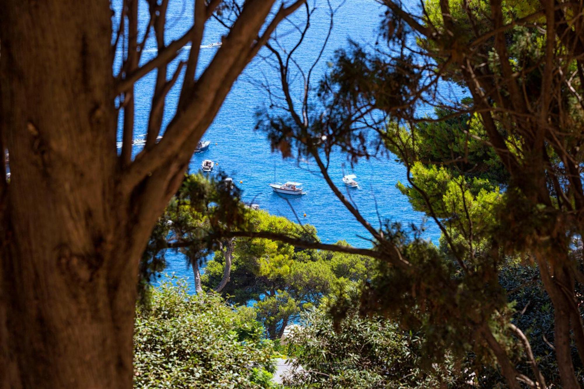 Casa Schiattarella Capri Otel Dış mekan fotoğraf